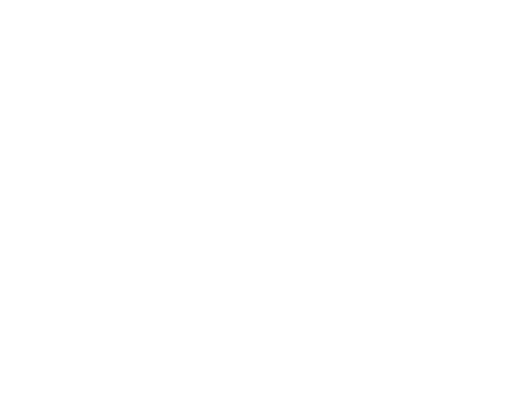 Sin Homónimo